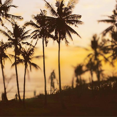 Bed and Breakfast Amour At Turtle Beach Tangalle Exteriér fotografie