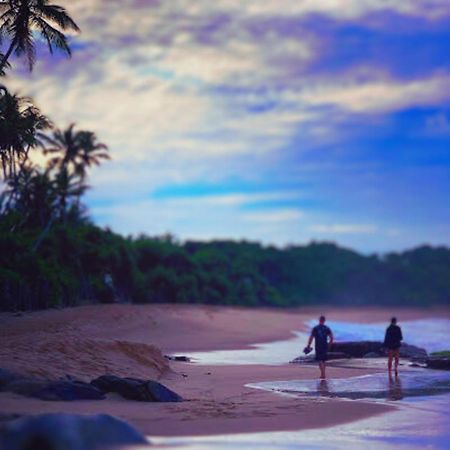 Bed and Breakfast Amour At Turtle Beach Tangalle Exteriér fotografie