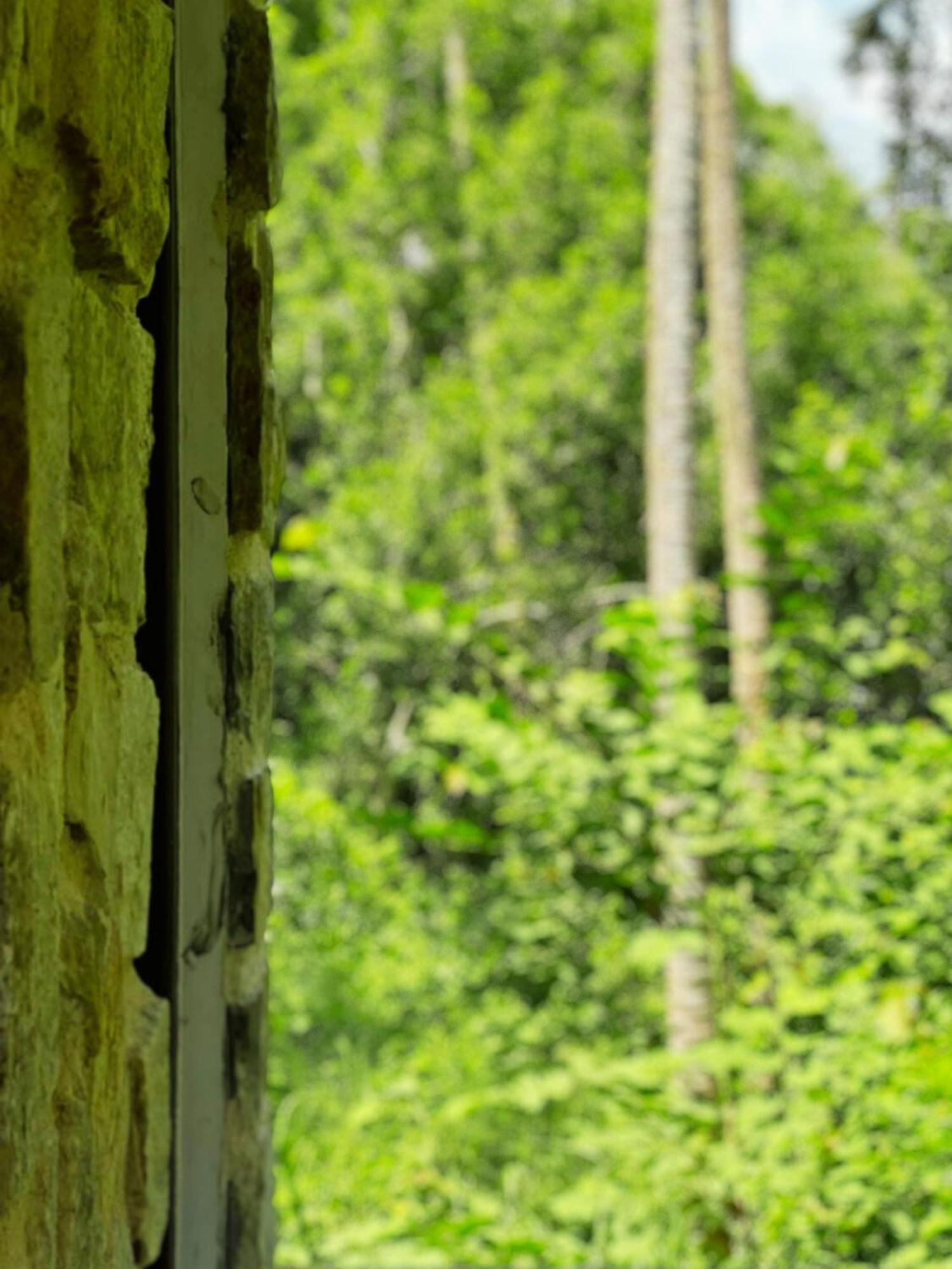 Amour At Turtle Beach Tangalle Exteriér fotografie