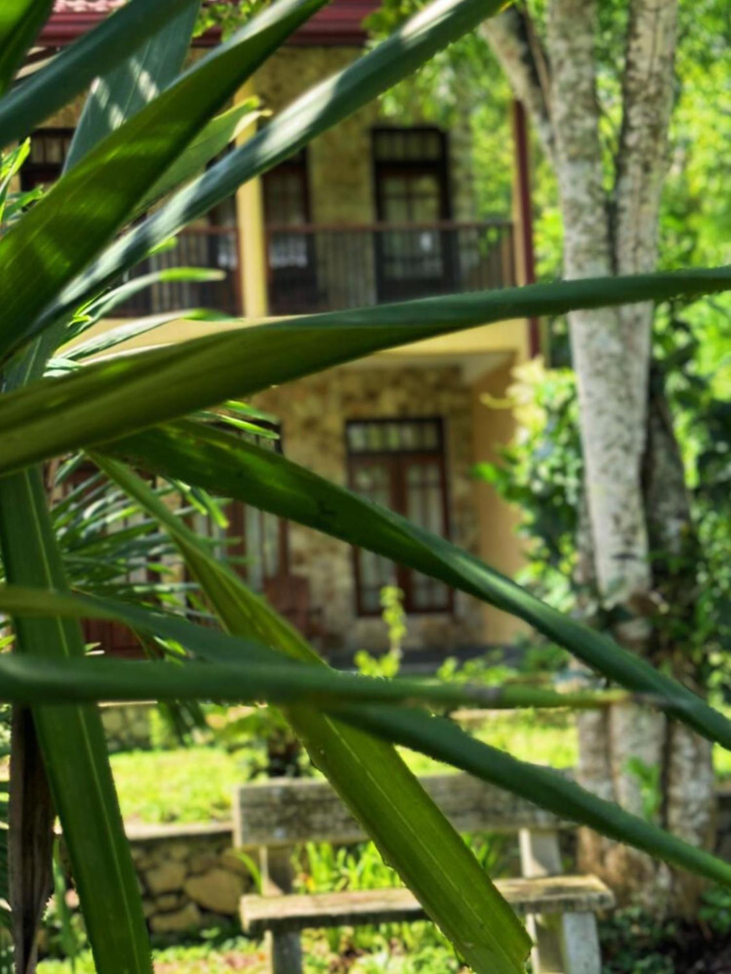 Bed and Breakfast Amour At Turtle Beach Tangalle Exteriér fotografie