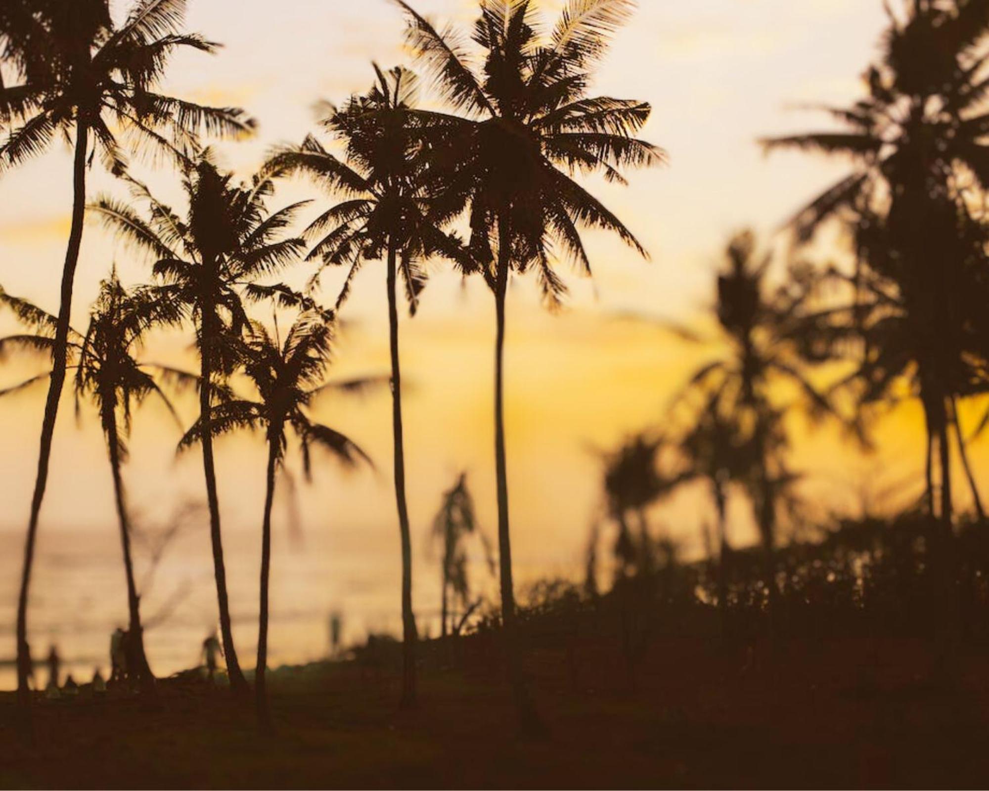 Bed and Breakfast Amour At Turtle Beach Tangalle Exteriér fotografie