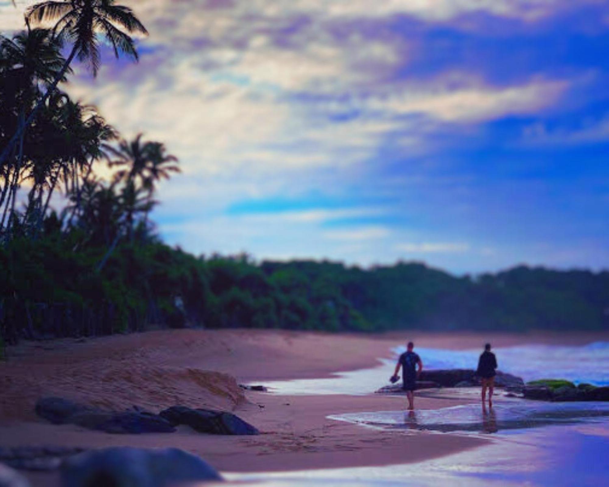 Bed and Breakfast Amour At Turtle Beach Tangalle Exteriér fotografie