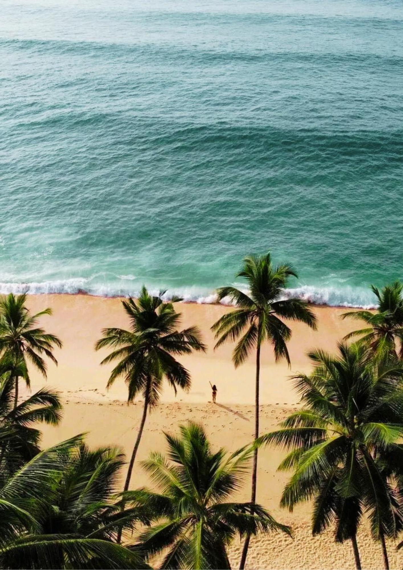 Bed and Breakfast Amour At Turtle Beach Tangalle Exteriér fotografie